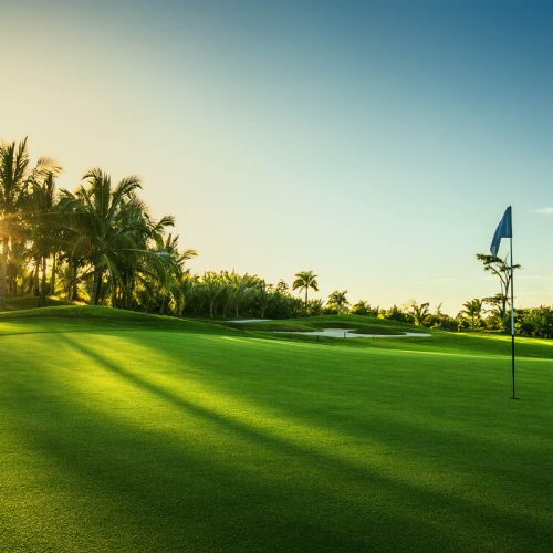 Florida Sporting Event Golf Transportation Service